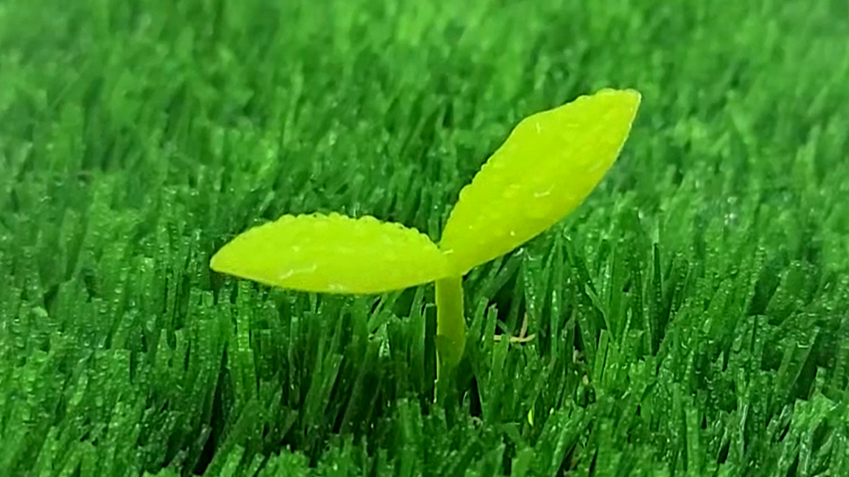 [골프] 봄 기운 물씬! 새싹과 동일한 3D 입체볼마커